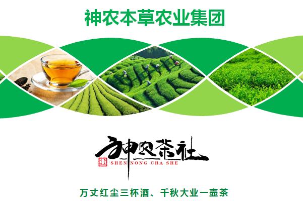 天津加盟神农农业集团代理