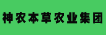 1607559859884565.jpg