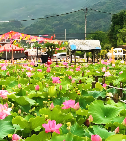 乡村旅游观光